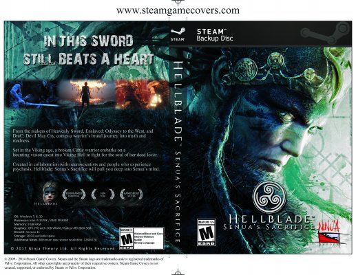 Hellblade: Senua's Sacrifice cover or packaging material - MobyGames