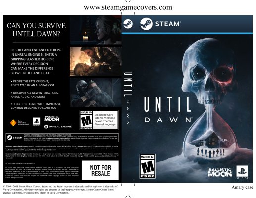 Until Dawn