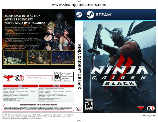 NINJA GAIDEN 2 Black